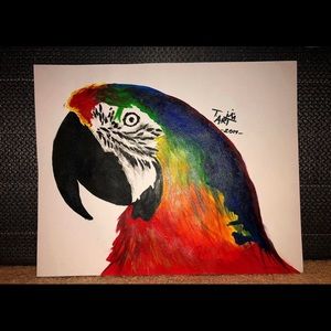 Parrot canvas painting 🦜